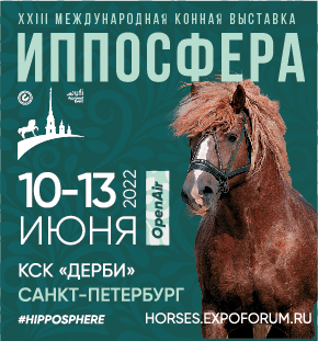 XXIII Международная конная выставка «Иппосфера»
